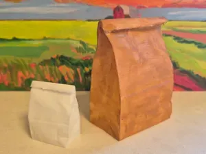 Closed Paper Bag