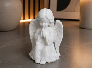 Guardian angel