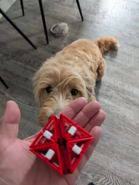 Hollow CubeIQ — Image 7 of 9