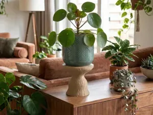 Organic Wood Bark Pot Plant Stand Pedelstal