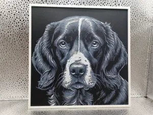 Sprocker Spaniel – Hueforge