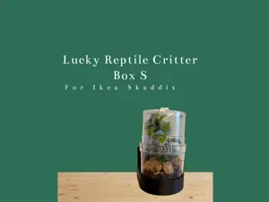 Lucky Reptile Critter Box S Wall Mount Skadis