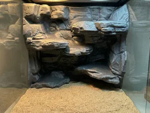 Aquarium Terrarium Rock Cliff Stone 3D Background