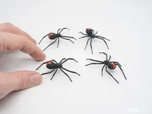 Dual Color Spider