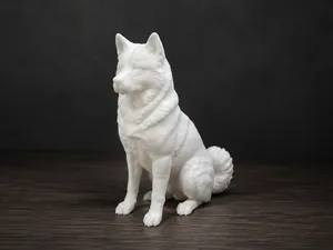 Akita Inu - Dog - Animal