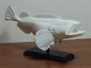 Lingcod Fish Mount