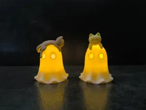 The Ghost and the Cat