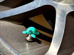 Valve Stem Caps - Cute Sea Turtle! Cars & BIkes!