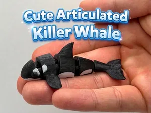 Articulated killer whale