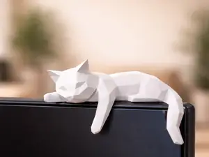Sleepy cat monitor pet