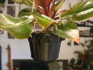Blumenampel gothisch