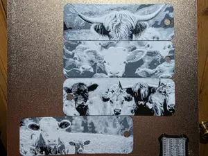 Cattle Life Hueforge Bookmark Set of 4 Black/White