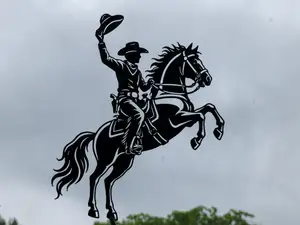 Cowboy Horse Rider 2D Wall Art
