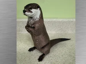 River Otter Ultra-realisitc figure