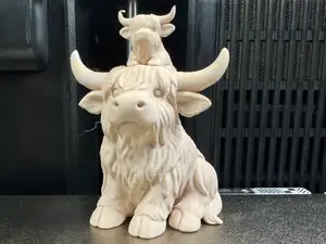 Hochlandrind & Mini Moo