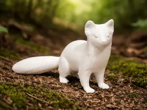 Pine Marten - Animal - Cute