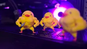 bodybuilder duck