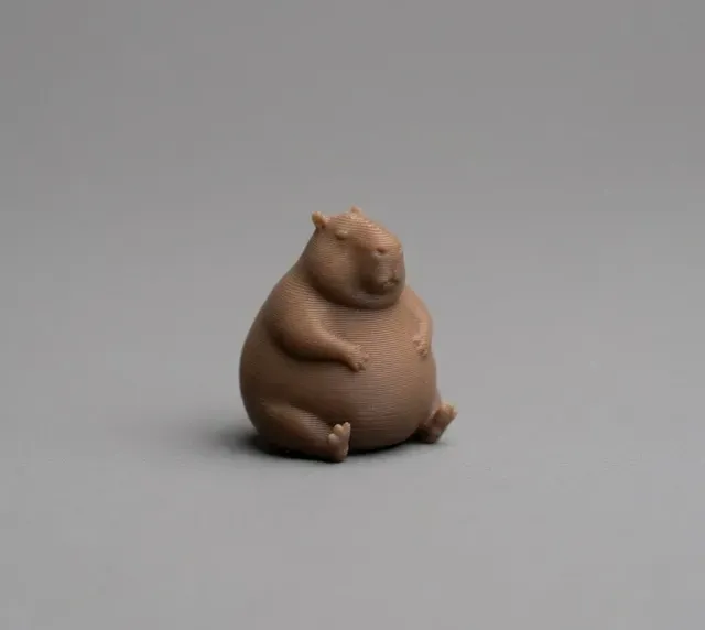 Mini Fat Capybara Buddy — Фото 2 из 3