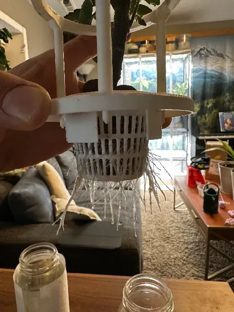 Hydroponic Planter for 32oz mason jar with cage. — Image 6 of 6