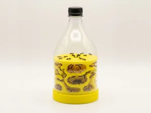DIY PET Bottle Ant Farm - Educational Formicarium (Upcycled)