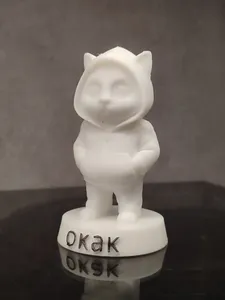 okak cat in a hood