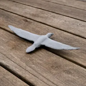 Cape Gannet