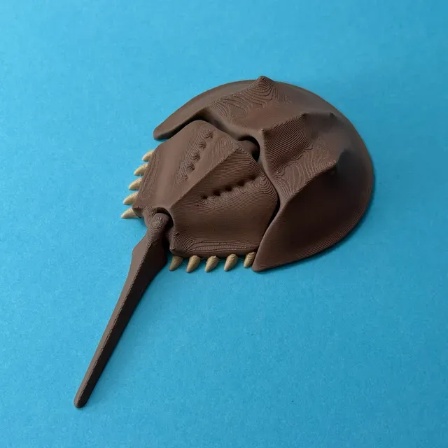Articulated Horseshoe Crab — Фото 4 из 5
