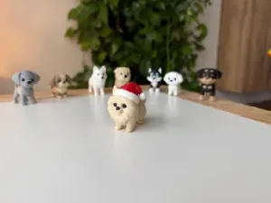 Pomeranian with Christmas hat