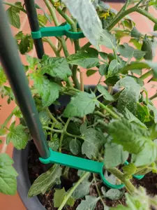 Clip, Rankhilfe für Pflanzen/ Clip, trellis for plants