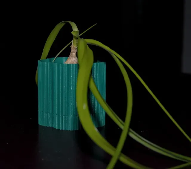 "Florio" - Self watering Flower Pot Planter, drain, no supports, parametric, multiple sizes — Image 2 of 5