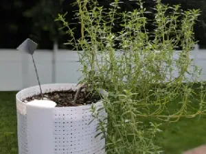 Mosquito-Proof Self Watering Planter
