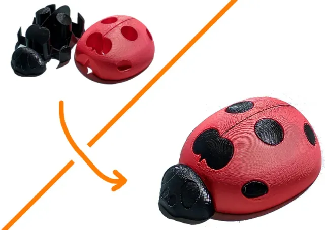 Single Extruder - Dual Color - Lady Bug