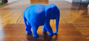 Indian Elephant