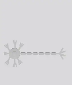 Neuron