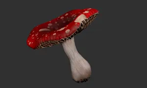 Mushroom Miniature