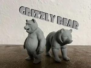 Medved grizly