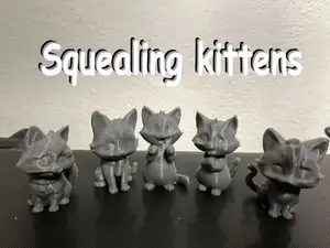 Begging, Squealing kittens, cats