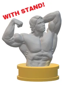Arnold Schwarzenegger - Busta