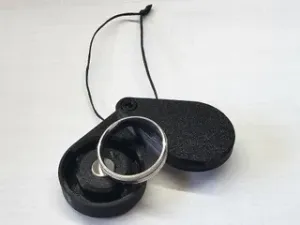Fully customizable Ring case/carrier