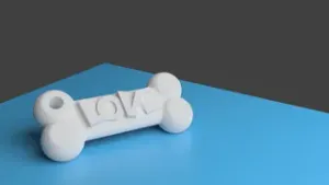 Dog Bone Keychain
