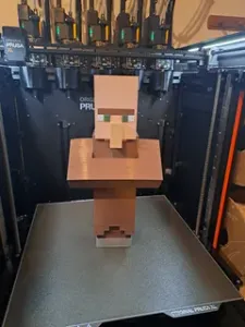 Minecraft Villager Multicolor