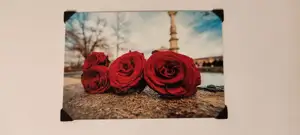 Minimalist Picture Frame for 100x148mm 4x6 Pictures