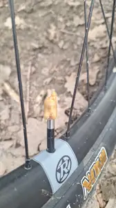 AmongUs on presta valve cup