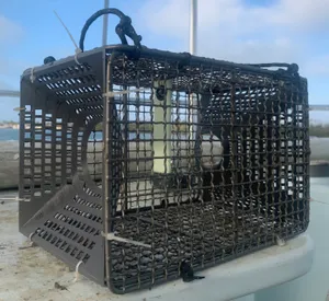 Titanium Trap ••• crab, minnow, shrimp, bait
