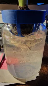 Hyacint holder on yankee candle glass