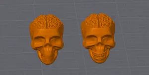 Dummy 13 Skull Head with Exposed Brain resized 250%