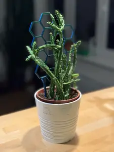 Hexagonal Plant Climber