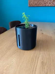 Upcycling Idea: Self-Watering Flower Vase or Plant Pot from Old Glass or Spice Jar