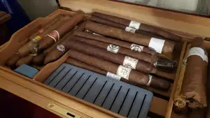 Humidifier for Cigar Humidor / Musical Instrument Case