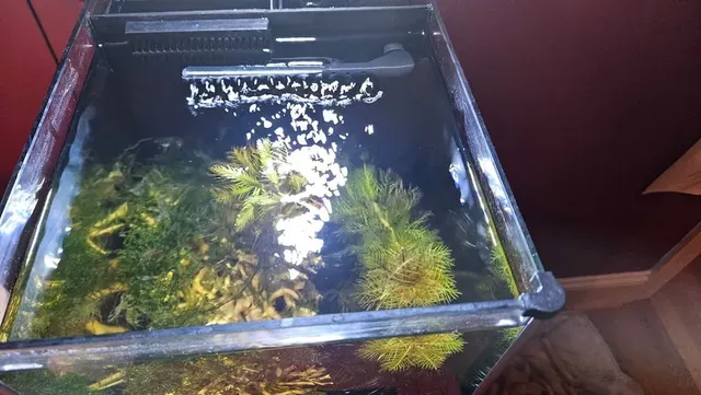 Fluval Spec III and V Spray Bar